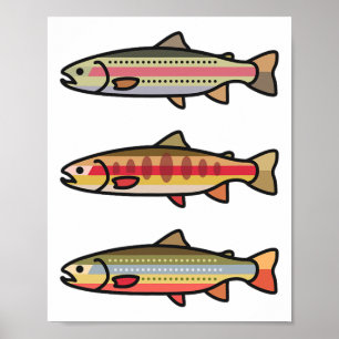 Poster Presente de pesca de truta dourada arco-íris para