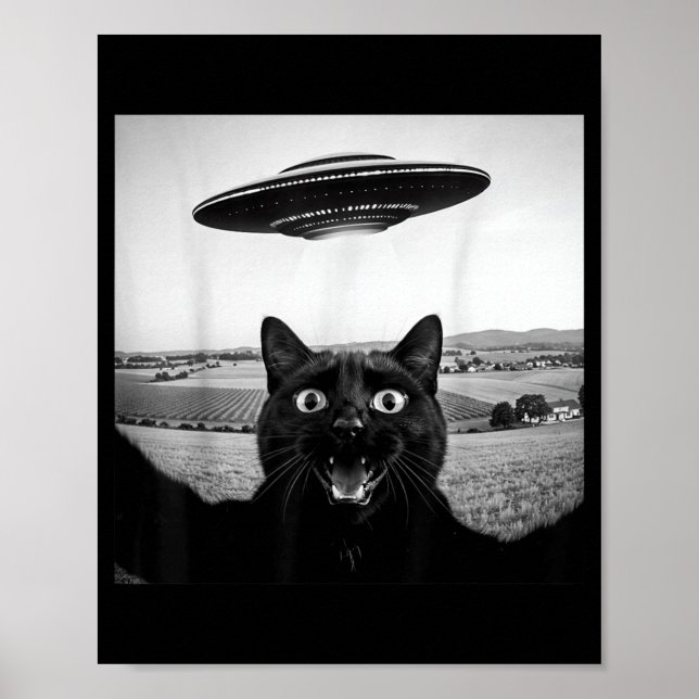 Poster Presente Divertido de Gato Preto Selfie Ufo Alien  (Frente)