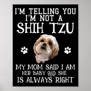 Poster Presente engraçado de Shih Tzu Shihtzu para Mãe Be