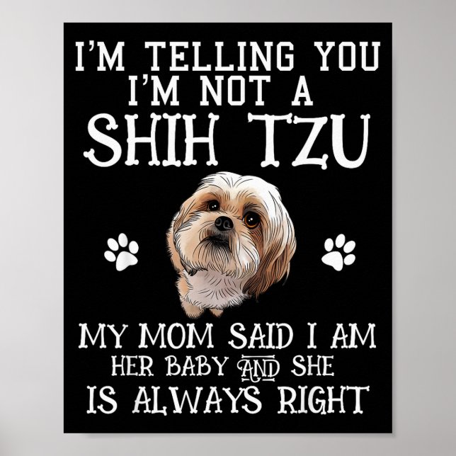 Poster Presente engraçado de Shih Tzu Shihtzu para Mãe Be (Frente)