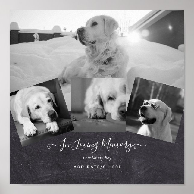 Poster Presente Memorial do Cachorro FOTO - Colagem de Pe (Frente)