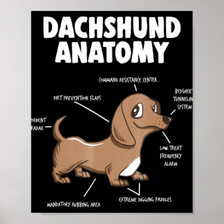 Poster Presente no cão | Anatomia Dachshund Funny Weiner