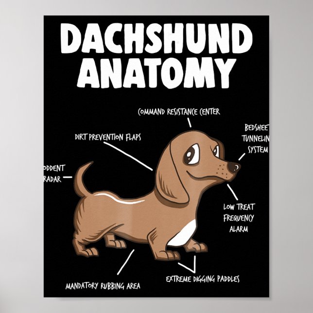 Poster Presente no cão | Anatomia Dachshund Funny Weiner (Frente)