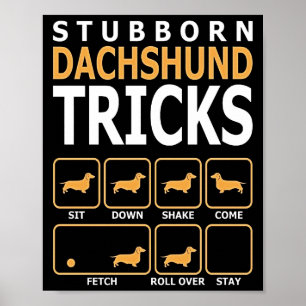 Poster Presente no cão   Truques Dachshund Stubborn