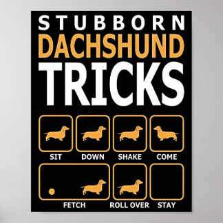 Poster Presente no cão | Truques Dachshund Stubborn