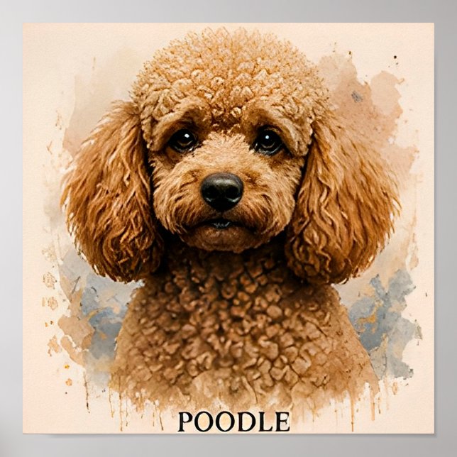 Poster Presente para Amante de Cães Poodle (Frente)