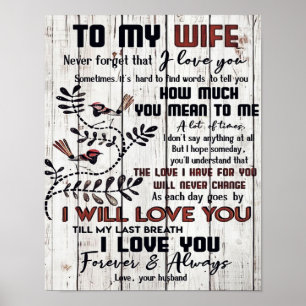 Poster Presente Para Esposa Carta Amável À Minha Esposa