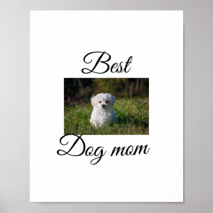 Poster Presente simples de animal colorido com nome para 