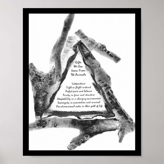 Poster Presentes De Animais (Frente)