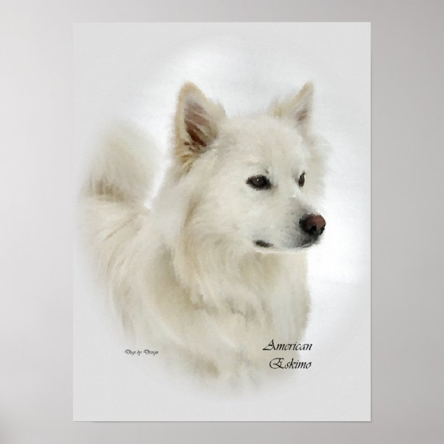 Pôster Presentes de Arte de Cão Eskimo Americano (Frente)