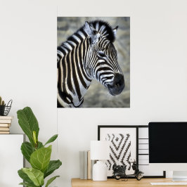 Poster Presentes de Arte de Zebra Amantes