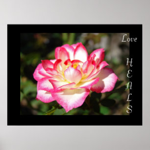 Pôster Presentes de arte impresso Love HEALS Rosa Flor Fl
