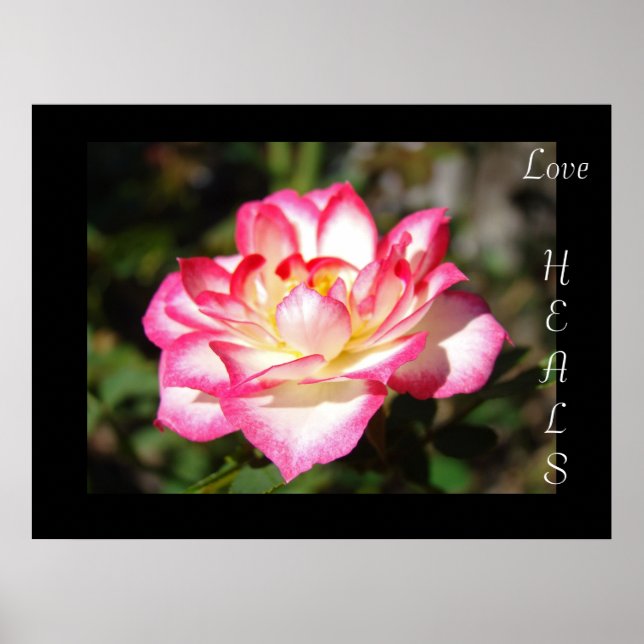 Pôster Presentes de arte impresso Love HEALS Rosa Flor Fl (Frente)