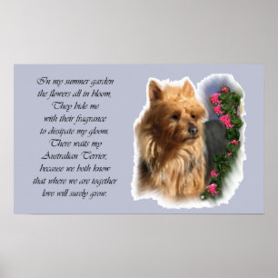 Poster Presentes de Arte Terrier Australianos