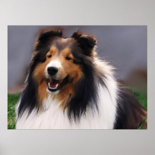 Pôster Presentes de Sheltie Art de Sheepdog Shetland