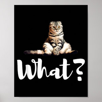 Poster Presentes engraçados de gatinhos fofos de gatos Sc