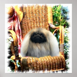 Pôster Presentes Pekingeses De Arte