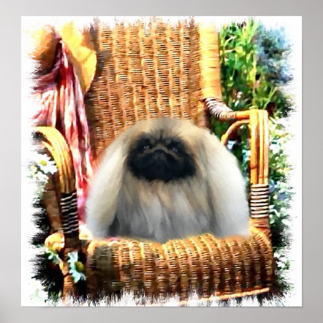 Pôster Presentes Pekingeses De Arte (Frente)