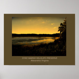 PÔSTER PRESERVAÇÃO DE DYKE MARSH WILDLIFE