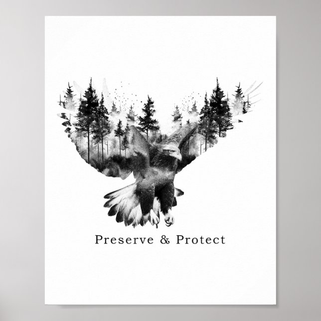 Poster Preservar &amp; Proteger Cl de Proteção Ambiental (Frente)