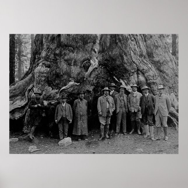 Poster Presidente Roosevelt e John Muir California 1903 (Frente)