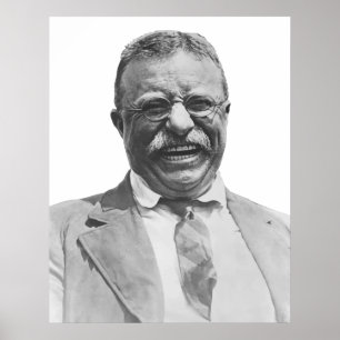 Pôster Presidente Teddy Roosevelt