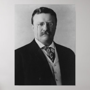 Poster Presidente Theodore Roosevelt - 1904