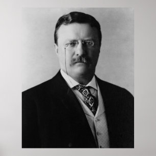 Pôster Presidente Theodore Roosevelt Portait
