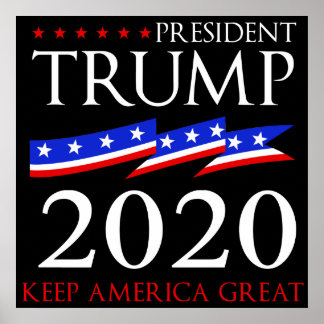 Poster Presidente Trump 2020