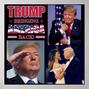 Poster Presidente Trump Trump Trazendo A América De Volt