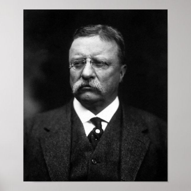 Poster Presidente Ursinho Roosevelt (Frente)
