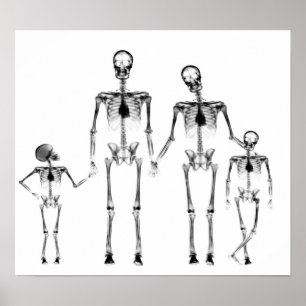 POSTER - PRETO & BRANCO DE ESQUELETO DA FAMÍLIA D