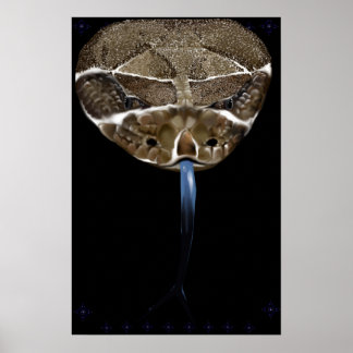 Poster preto Cobra Bovinos