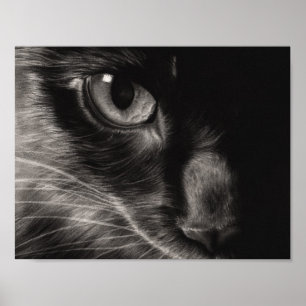Poster preto do gato da beleza
