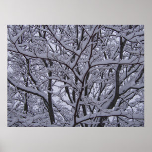 Pôster Preto e branco