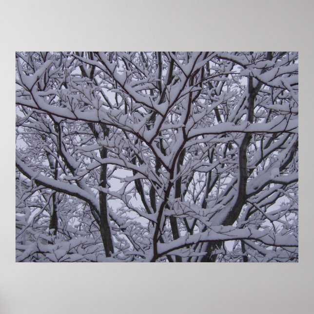 Pôster Preto e Branco (Frente)