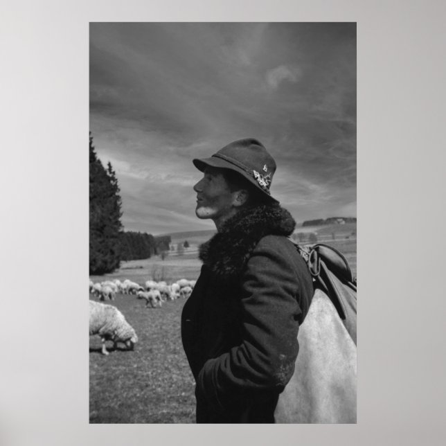 Poster Preto e Branco 1968 - Pastor Alemão de Ovinos (Frente)