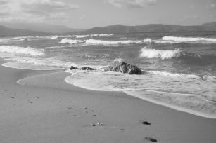 Get Wallpaper Arte E Decoracao De Parede Praia Preto E Branco Zazzle Com Br Free HD