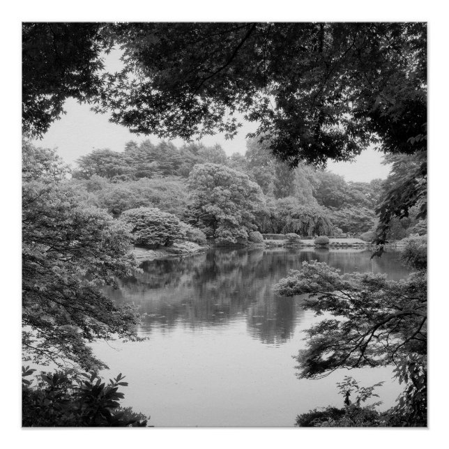 Pôster Preto e branco, legal, natureza única e lago (Frente)