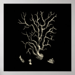 Poster Preto e Coral-bravo