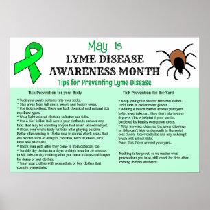 Poster Prevenção da Doença de Lyme Educacional