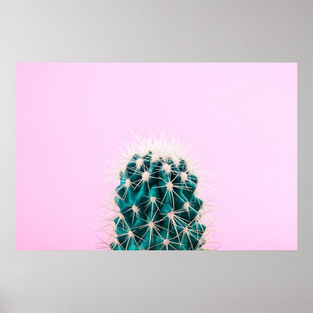 Poster Prickley Cactus a Rosa (Frente)