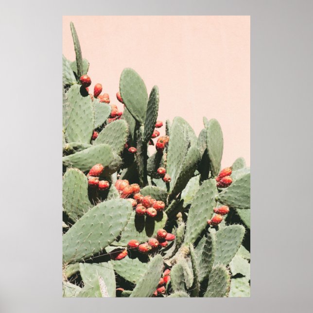 Poster Prickley Pear Cactus (Frente)
