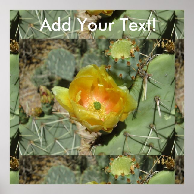 Pôster Prickly Pear Green Yellow Bloom (Frente)