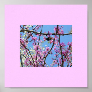 Pôster Primavera...