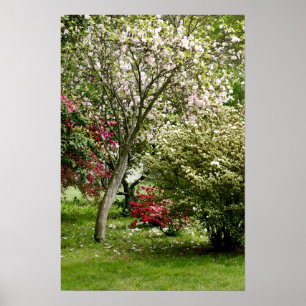 Pôster Primavera