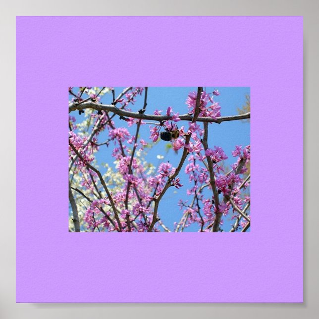 Pôster Primavera (Frente)