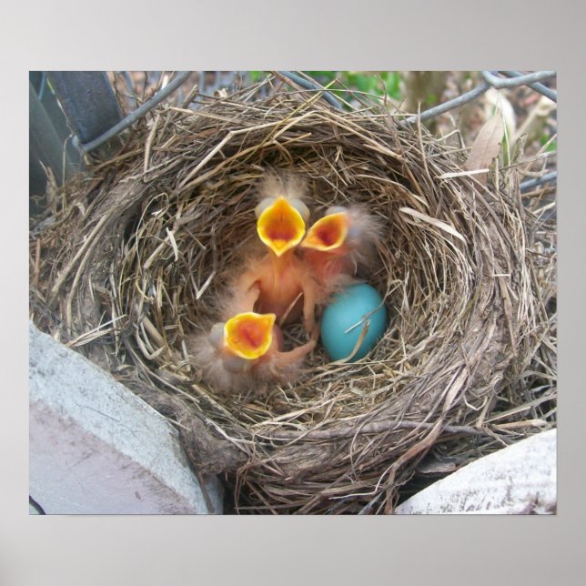 Poster Primavera (Frente)