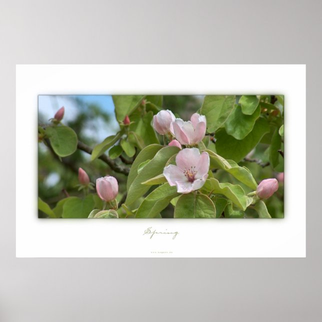 Poster Primavera (Frente)