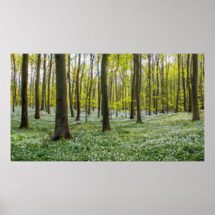 Poster Primavera à vida